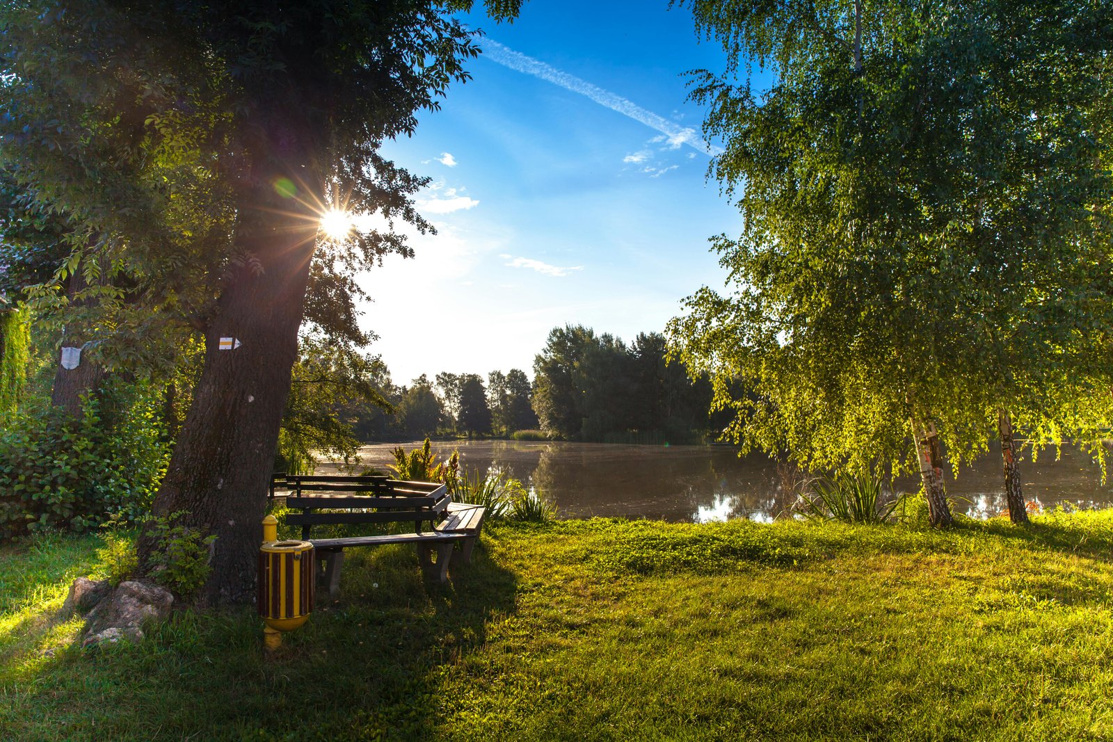 A beautiful morning by the lakeside where there is a wooden bench